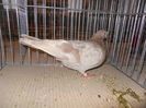 DSCN0540