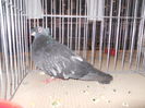 DSCN0543