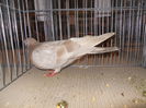 DSCN0544