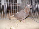 DSCN0546