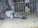 DSCN0547