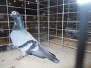 DSCN0512