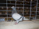 DSCN0513