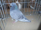 DSCN0537