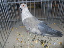 DSCN0569