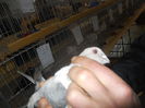 DSCN0581
