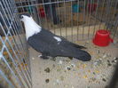 DSCN0586