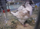 DSCN0591