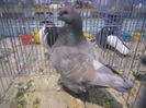 DSCN0594