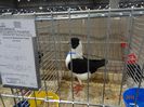 DSC08395