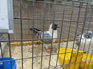 DSC08398