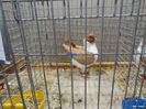 DSC08400