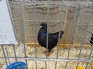 DSC08401