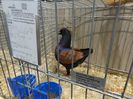 DSC08404