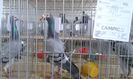 20151205_120521