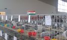20151205_120730