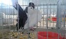 20151205_123310