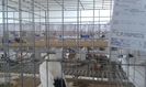 20151205_123533