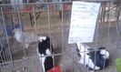 20151205_135138