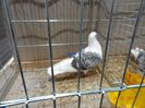 DSC08478