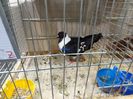 DSC08505