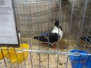 DSC08507