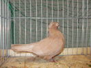 DSCN0038