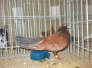 DSCN0048