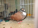 DSCN0053