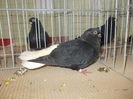 DSCN0058