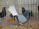DSCN0059