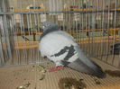 DSCN0074