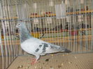 DSCN0075