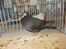 DSCN0077