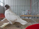 DSCN0082