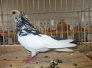 DSCN0085