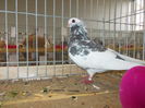 DSCN0086