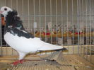 DSCN0087