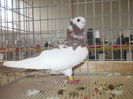 DSCN0089