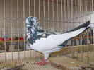 DSCN0090