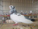 DSCN0095