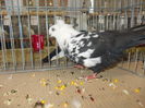 DSCN0096