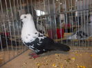 DSCN0099