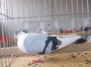 DSCN0107
