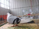 DSCN0108