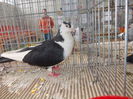 DSCN0110