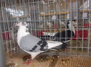 DSCN0113