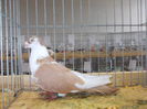 DSCN0124