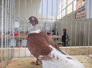 DSCN0130