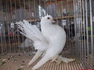 DSCN0147